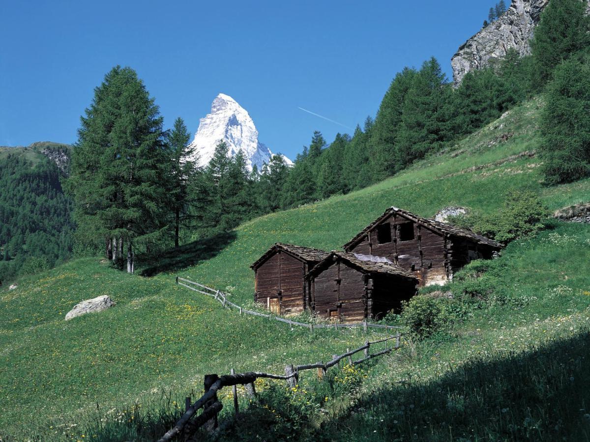 Apartment Chalet Dossen Zermatt Dış mekan fotoğraf