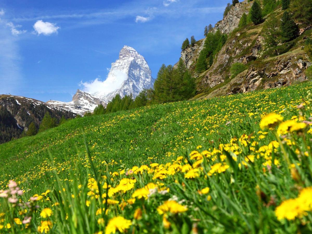Apartment Chalet Dossen Zermatt Dış mekan fotoğraf